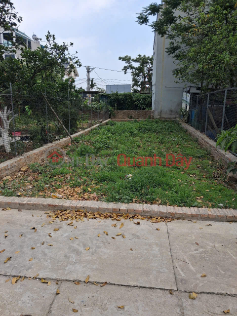 Land for sale in Ấp Tre village, group 10, Quang Minh commune, Mê Linh district. Located on a grid-patterned road network, with a 5m wide frontage. _0