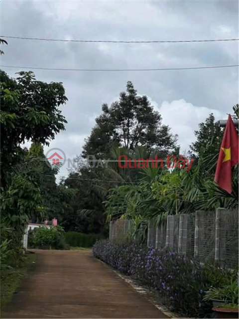 BEAUTIFUL LAND - INVESTMENT PRICE - OWNER NEEDS TO SELL LAND LOT IN Hoa Thang, Buon Ma Thuot, Dak Lak _0