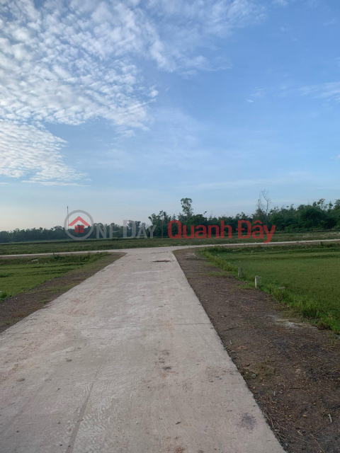 BEAUTIFUL LAND - GOOD PRICE - Quick sale of LAND LOT in Phu Vang - Thua Thien Hue _0
