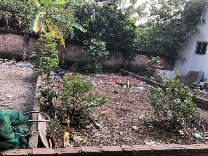 The owner needs to quickly sell a 41m2 plot of land in Phuong Nghia village, Phung Chau Chuong My, Hanoi. Area 41.2 m2, radius several Sales Listings