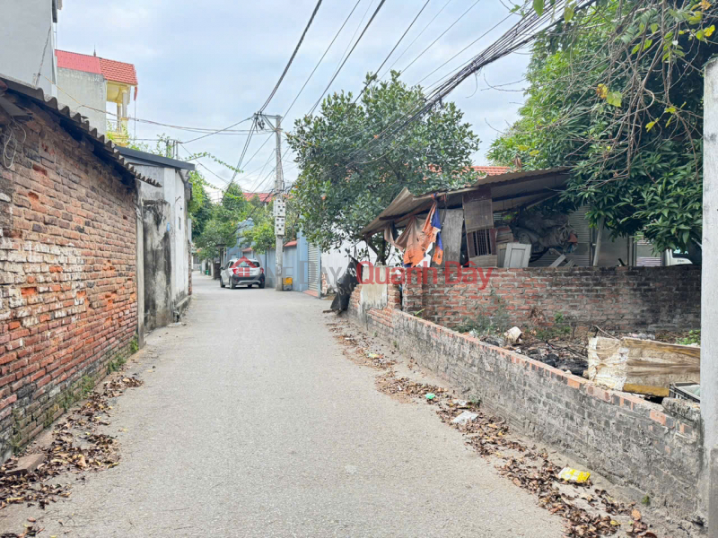 Bán Đất Trục Chính Chi Đông, Mê Linh - 86m2 Full Thổ Cư - Kinh Doanh Tốt - Sổ Đỏ Sẵn Sàng | Việt Nam, Bán đ 4,7 tỷ