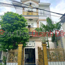 Biệt Thự Lô Góc 3 Tầng - Hẻm 6m , Bình Tân Giáp Tân Phú _0