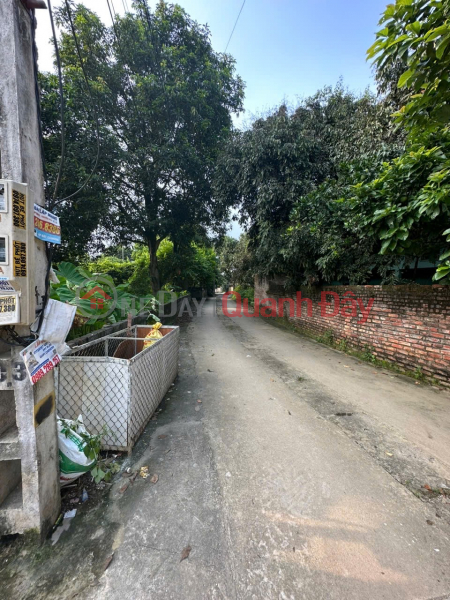 SUPER PRODUCT 876M AT XUAN LINH-THUONG XUAN TIEN-CHUONG MY-HANOI Vietnam Sales | đ 10 Million