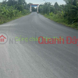 BEAUTIFUL LAND - PROFITABLE INVESTMENT - Durian Garden Land for Sale RI6 Tan Thoi Commune, Phong Dien, Can Tho _0