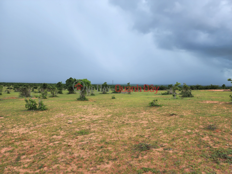 Property Search Vietnam | OneDay | , Sales Listings | 4 acres of land in Hong Thai area, price only 60 million/sao