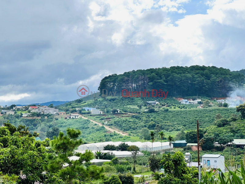 Property Search Vietnam | OneDay | , Sales Listings | The owner is strapped for money and needs to sell the land urgently to pay off debt