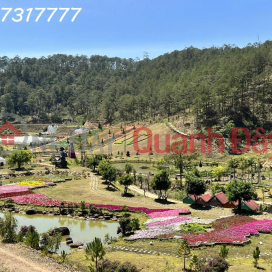 GOLDEN OPPORTUNITY – PARTNERSHIP - TRANSFER OF A AGRICULTURAL TOURISM PROJECT IN LANGBIANG WARD, DA LAT _0