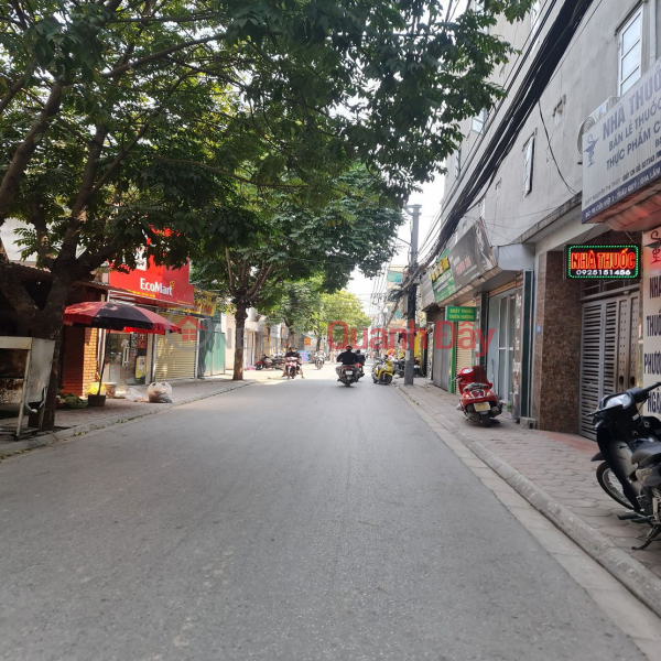 4 billion x 60m2 Cuu Viet Residential Area, Trau Quy, Gia Lam, Hanoi. Sales Listings
