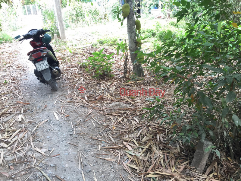 Property Search Vietnam | OneDay | Residential, Sales Listings OWNER Needs to Sell Mini Garden Land Frontage on Rural Highway in Nhon Nghia, Phong Dien.