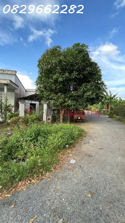 219m2 townhouse with land title, facing south, located in Xeo Vat residential area, Tan Phu Trung, Dong Thap. Price: 1.95 billion VND. _0