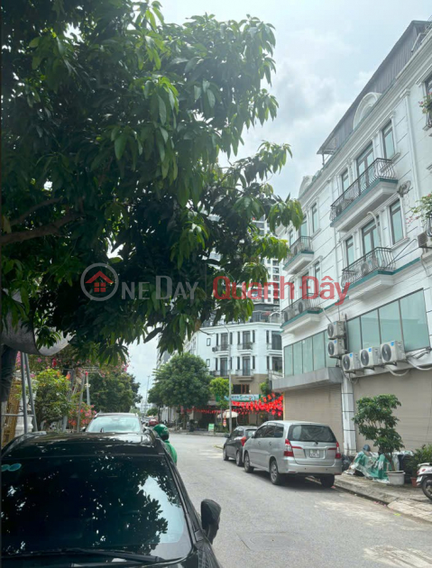 BÁN GẤP BIỆT THỰ ĐƠN LẬP KHU 31HA, Trâu Quỳ, Gia Lâm, Hà Nội _0