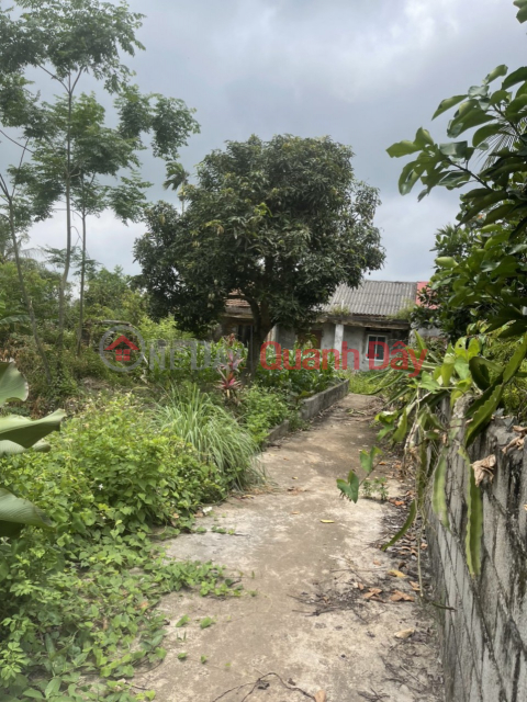 For sale plot of land 320m across 10 Tran Duong Vinh Bao, Hai Phong _0