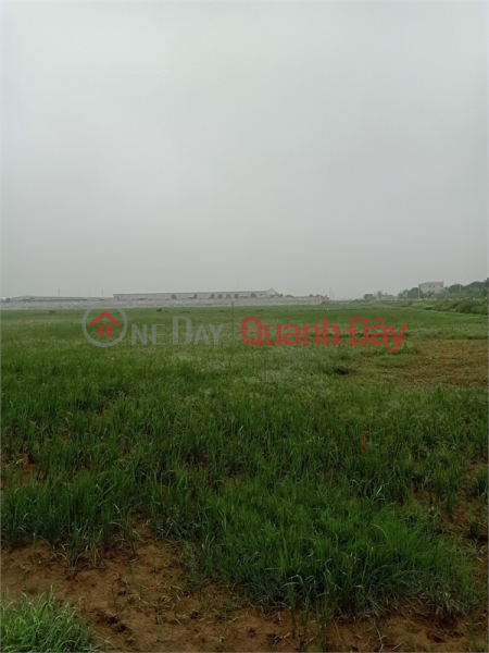 1.6ha industrial land for sale for 50 years in Song Mai Commune, Bac Giang City Sales Listings