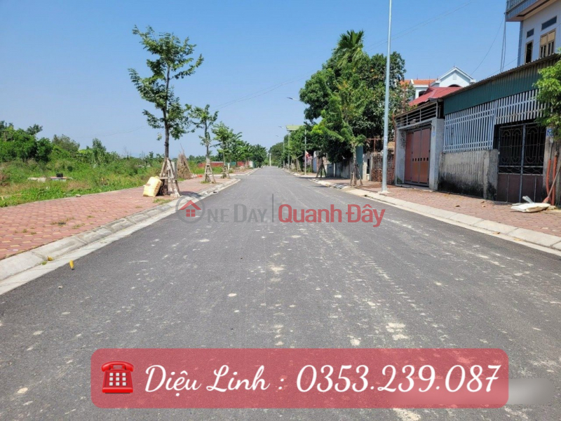 LAND FOR SALE AT AUCTION X9 CAN KHE, NGUYEN KHE, DONG ANH PRICE ONLY 42.5 TR\\/M Sales Listings