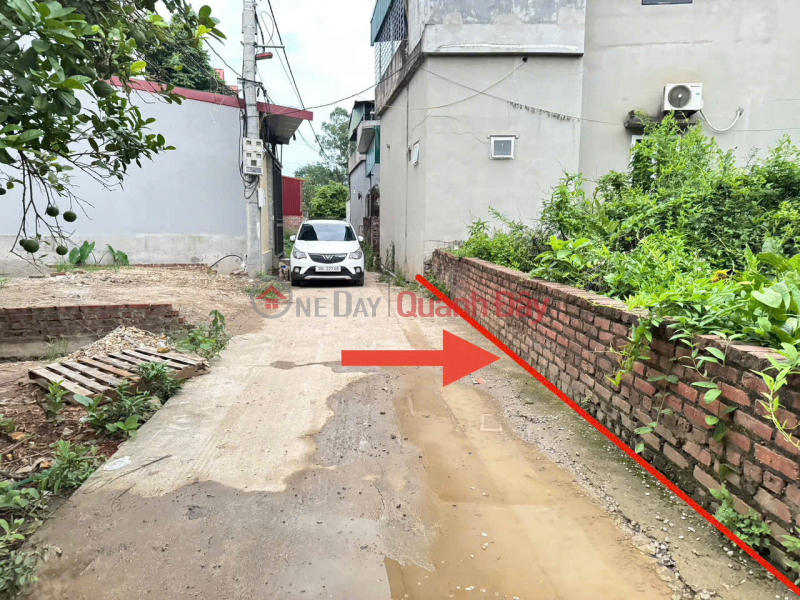 Property Search Vietnam | OneDay | Nhà ở | Niêm yết bán | Bán đất Phú Hữu, Thanh Lâm, Mê Linh. Gần đường quốc lộ 23b và đồi 79 mùa xuân
