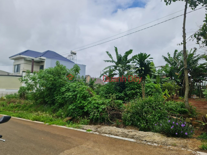 Property Search Vietnam | OneDay | Residential, Sales Listings, BEAUTIFUL LAND - GOOD PRICE - Land Lot For Sale Prime Location In Di Linh Town, Di Linh District, Lam Dong