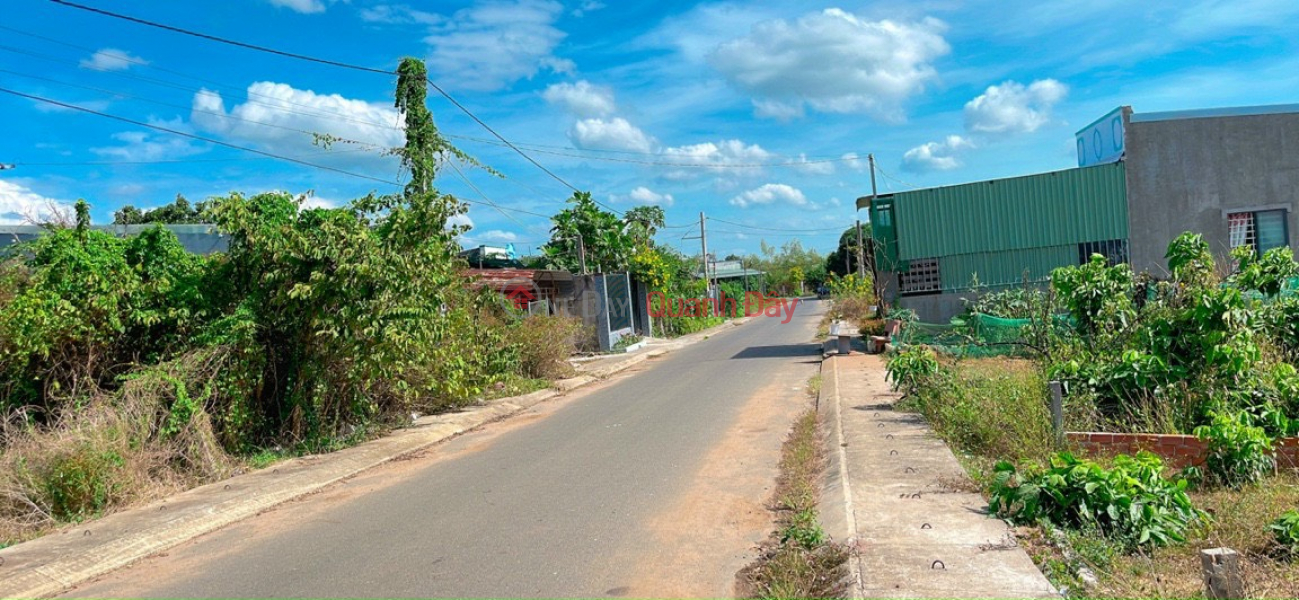 Land in front of asphalt road No. 8, Tam Phuoc commune, Long Dien, Ba Ria Vung Tau. Vietnam | Sales đ 1.2 Billion