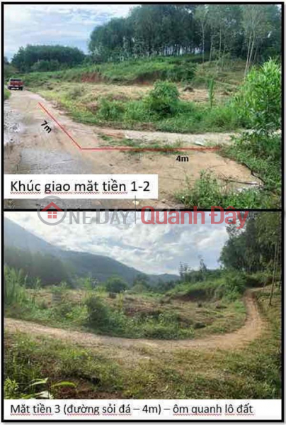 BEAUTIFUL LAND - GOOD PRICE - OWNER Land Lot for Sale in Doan Ket Commune, Da Huoai District, Lam Dong Province | Vietnam | Sales | đ 1.1 Billion