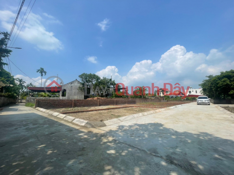 The owner needs to sell a large road plot with a spacious yard near Chien Thang - An Lao industrial park at the cheapest price in Hai Phong. _0