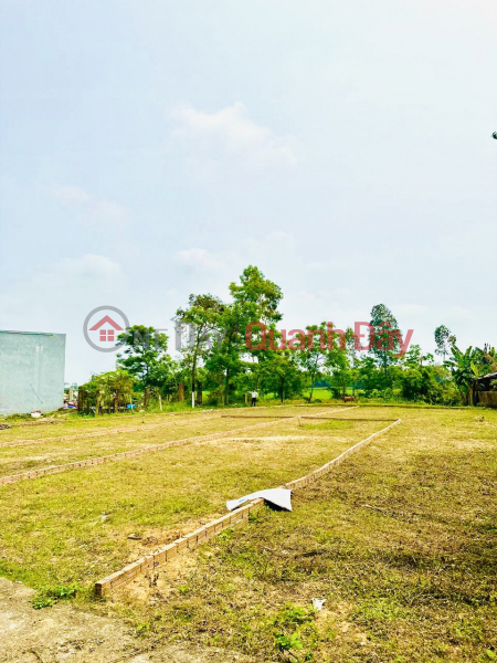 Land for sale in Dien Tien commune, Dien Ban, near main axis DT 605 Sales Listings