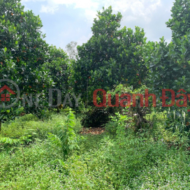 Owner selling 5,380m2 of land in Nghia Thanh, next to Sonadezi Suoi Nghe, price 8 billion VND, only 1.49 million VND\/m2. _0