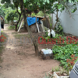Land for sale in Trang Viet, Me Linh. Full residential land, car parking. Ahead of Thuong Cat bridge project _0