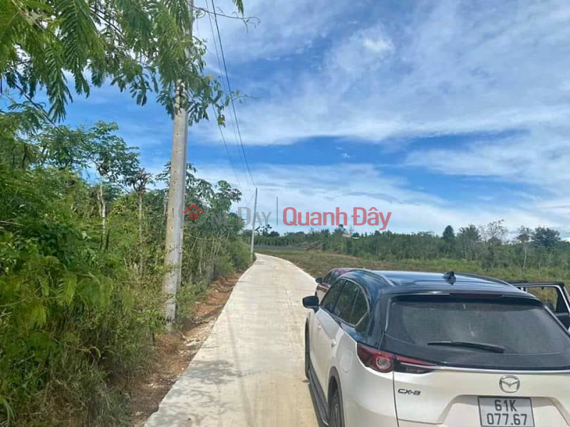 Property Search Vietnam | OneDay | Nhà ở, Niêm yết bán, KẸT TIỀN BÁN GẤP 1.023M2, THỔ CƯ, 195TR, MT ĐƯỜNG 18M, SÁT BÊN KCN