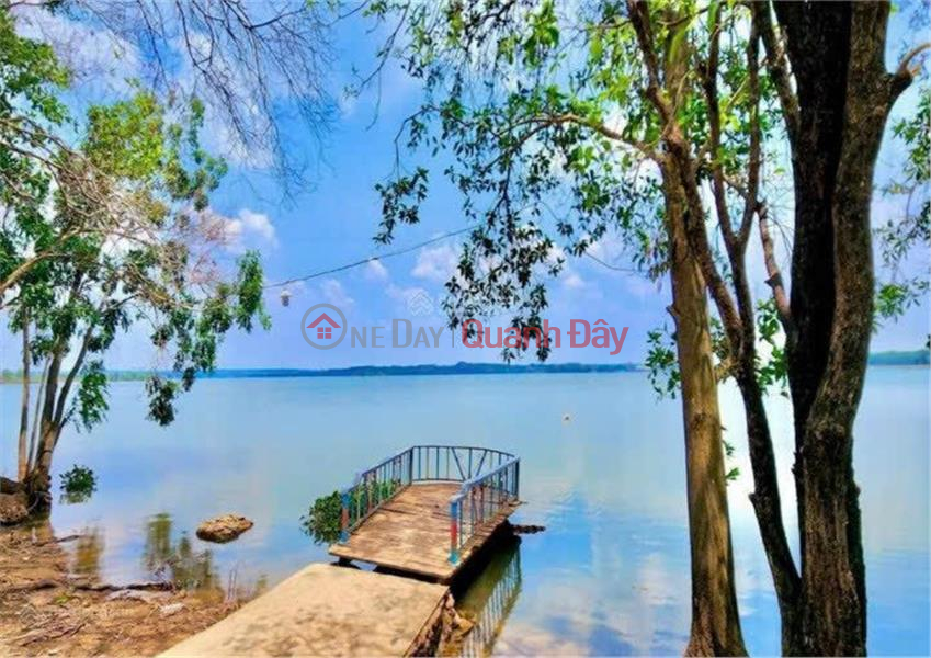 Property Search Vietnam | OneDay | Nhà ở Niêm yết bán | ĐẤT ĐẸP - GIÁ TỐT - Bán Nhanh 3 Nền Đất Đẹp Tại Lộc Ninh Bình Phước