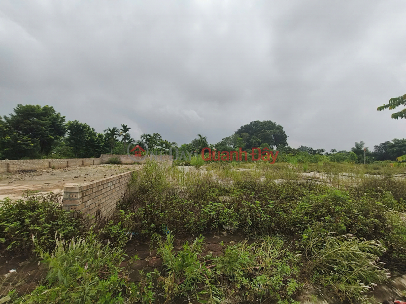 Land for sale in Dong Du Thuong Lam, area 146.5m2, suitable for business with car access, 4.18 billion VND, My Duc. Sales Listings