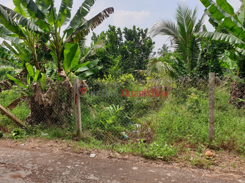 Property Search Vietnam | OneDay | Residential | Sales Listings BEAUTIFUL LAND - GOOD PRICE - URGENTLY SELLING 1 Acre of Frontage Land in An Hoa Commune, Chau Thanh, Ben Tre