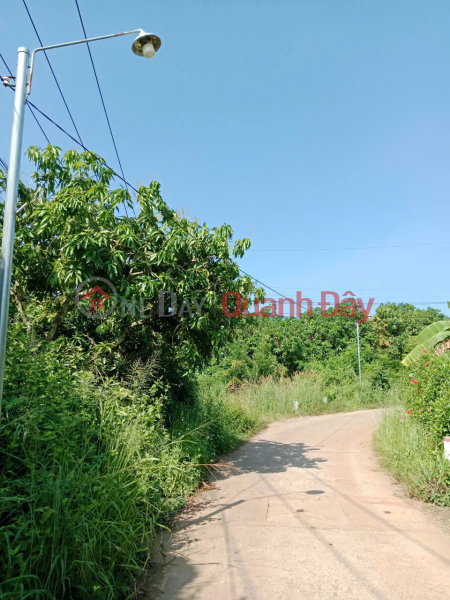 Property Search Vietnam | OneDay | Nhà ở | Niêm yết bán | Chính Chủ Cần Bán Đất Nghỉ Dưỡng View Hồ Trị An Cực Đẹp - Thoáng Mát Tại La Ngà – Định Quán – Đồng Nai