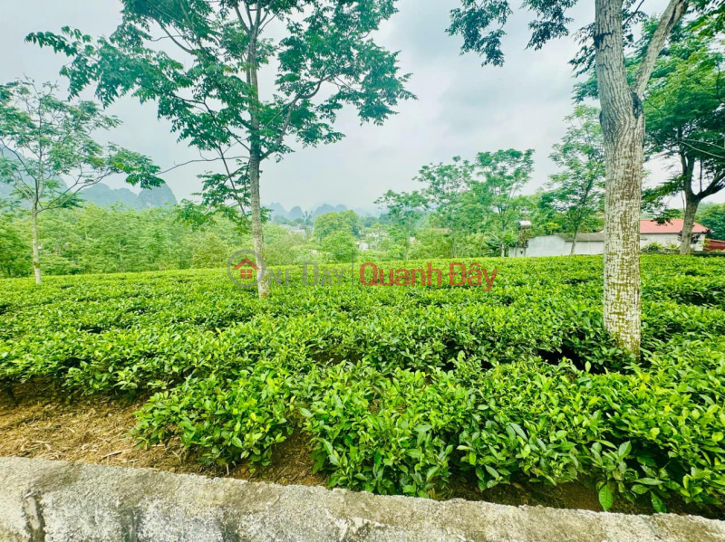 đ 3,3 tỷ, View đồi núi, tầm nhìn rộng, thoáng.
