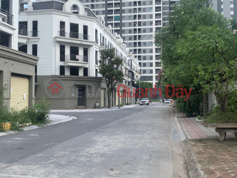 Selling land subdivision 31Ha Trau Quy, 246m², 13m frontage, asphalt road, sidewalk _0