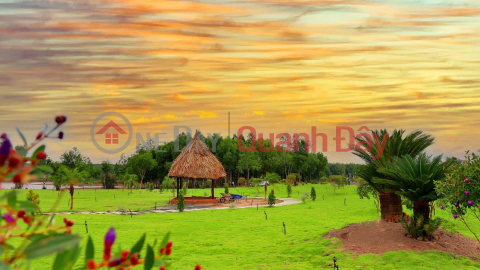 BEAUTIFUL LAND - GOOD PRICE - Quick Sale 3 Beautiful Lands In Loc Ninh Binh Phuoc _0