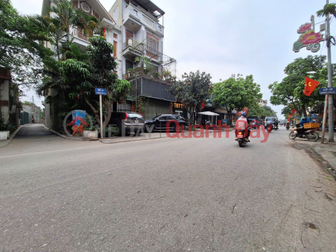SUPER RARE 44.3M2 TO UY NO HAMPTON, DONG ANH - CAR PARKING AT THE DOOR, OVER 4 BILLION _0