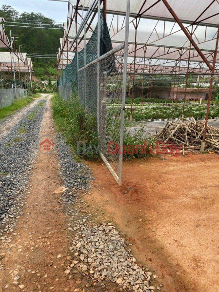 đ 3.5 Billion BEAUTIFUL LAND - GOOD PRICE - Land Lot For Sale Prime Location In Ward 10, Da Lat City, Lam Dong