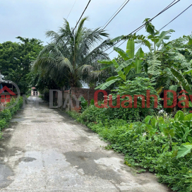 Land for sale in Duc Nhuan Da Trach, area 99.5m, frontage 5.56m, expanding back, investment price _0