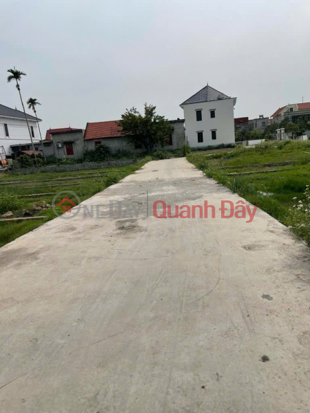 690 tr 65m2 Cẩm Hoàn Thanh Sơn Kiến Thụy Zalo 0567222555, Việt Nam, Bán | đ 690 triệu