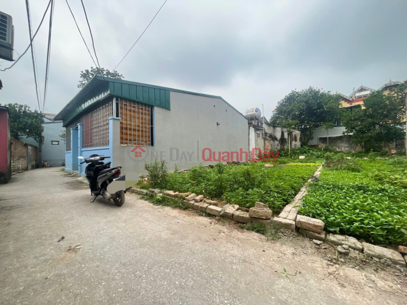Property Search Vietnam | OneDay | Residential, Sales Listings | Thai Hoa land under contract, behind Hoang Anh restaurant Nearly 90m of land, price just over 10 million\\/m Land far from provincial road 419