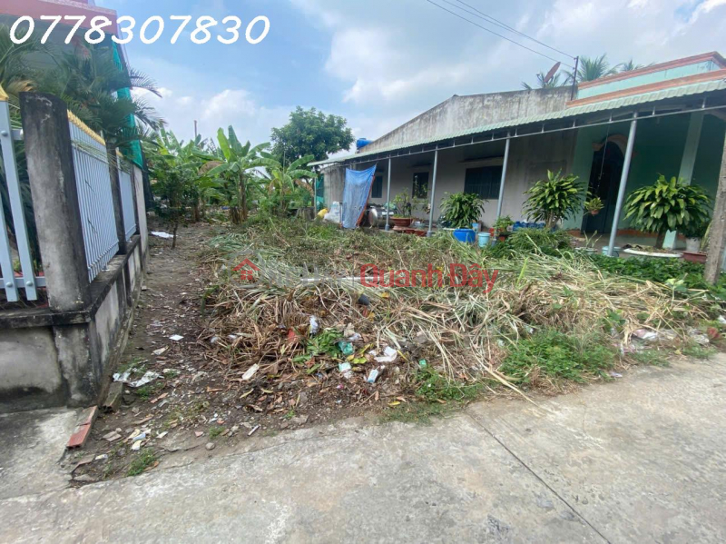 Selling a prime plot of land in Binh Tam commune, Tan An district, Long An province, area 325m2, ideal for investment., Vietnam | Sales, đ 12.35 Billion