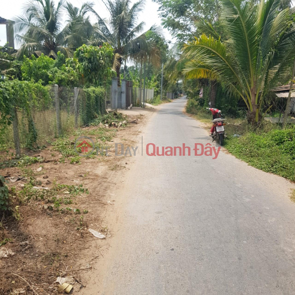 OWNER FOR SALE Lot of Land, Beautiful Location In Long Son Ward, Tan Chau, An Giang Sales Listings