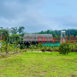 BEAUTIFUL LAND - GOOD PRICE - LAND FOR SALE At Hamlet 1, Xuan Duong Commune, Cam My District, Dong Nai _0