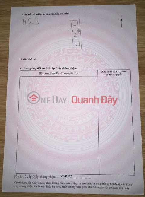 Own a beachfront plot of land - 100% residential land - Hai Xuan Commune, Hai Hau District, Nam Dinh Province _0
