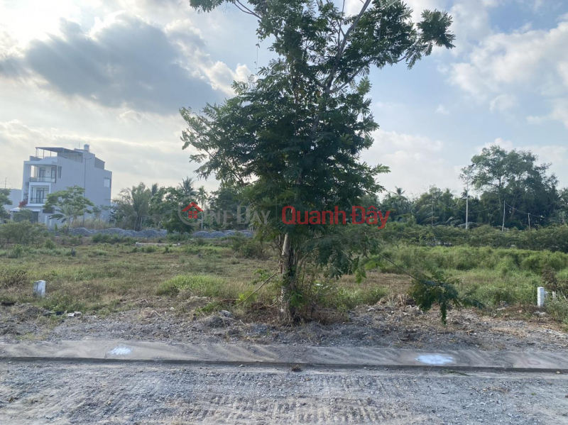 BEAUTIFUL LAND - GOOD PRICE - OWNER 2 adjacent plots for sale in Cuu Long Urban area Sales Listings