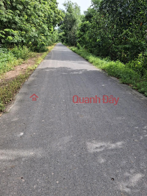 Beautiful Land - Good Price - Owner Needs to Sell Land Plot Quickly in Binh Minh, Tay Ninh Town _0