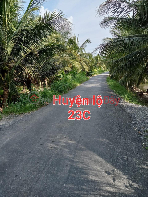 QUICK SALE land with asphalt frontage in Hoa Phu hamlet, Cho Gao, Tien Giang _0