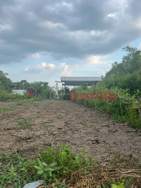 HOT HOT – OWNER NEEDS TO SELL A BEAUTIFUL PLOT OF LAND on DT. 830 Road, Tan Tap Commune, Can Giuoc District, Long An Province. | Vietnam | Sales đ 1.5 Billion