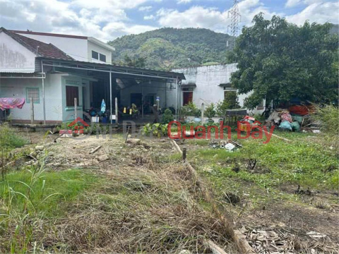 BEAUTIFUL LAND - GOOD PRICE OWNER NEEDS TO SELL 2 LOTS OF LAND Adjacent to the location in Nha Trang city, Khanh Hoa province _0