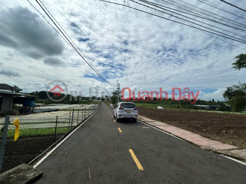 Beautiful Land - Good Price - Owner Needs to Sell a Lot of Land in a Beautiful Location, Frontage DT769 Right at the Gate of Long Thanh Airport _0