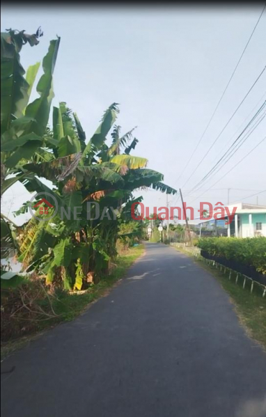 Bán đất Sổ Hồng 155m2 đường Cao Mên Trên, Tân Quy Tây, TP.Sa Đéc giá 1 tỷ 050 triệu. Việt Nam | Bán đ 1,05 tỷ